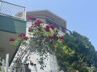 今年もありがとうございました